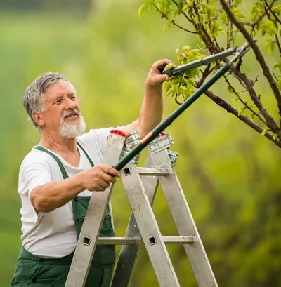 depositphotos 82935370 stock photo senior man gardening in his.jpg